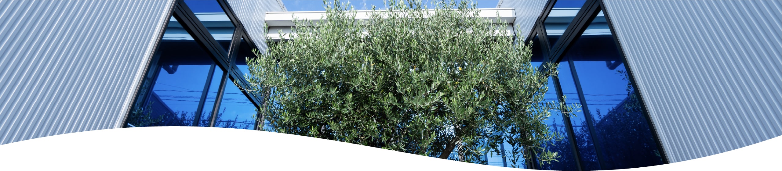 COMPANY 会社案内