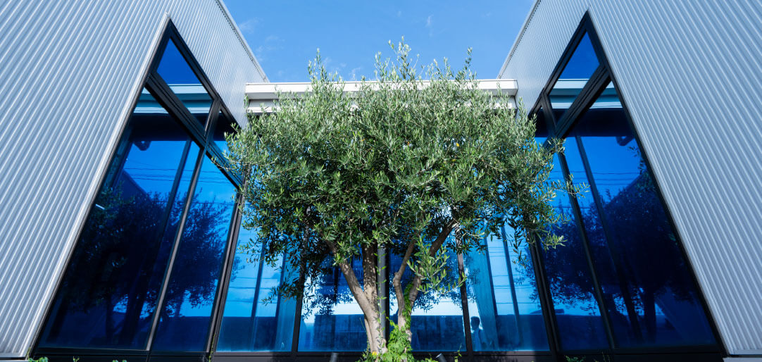 COMPANY 会社案内